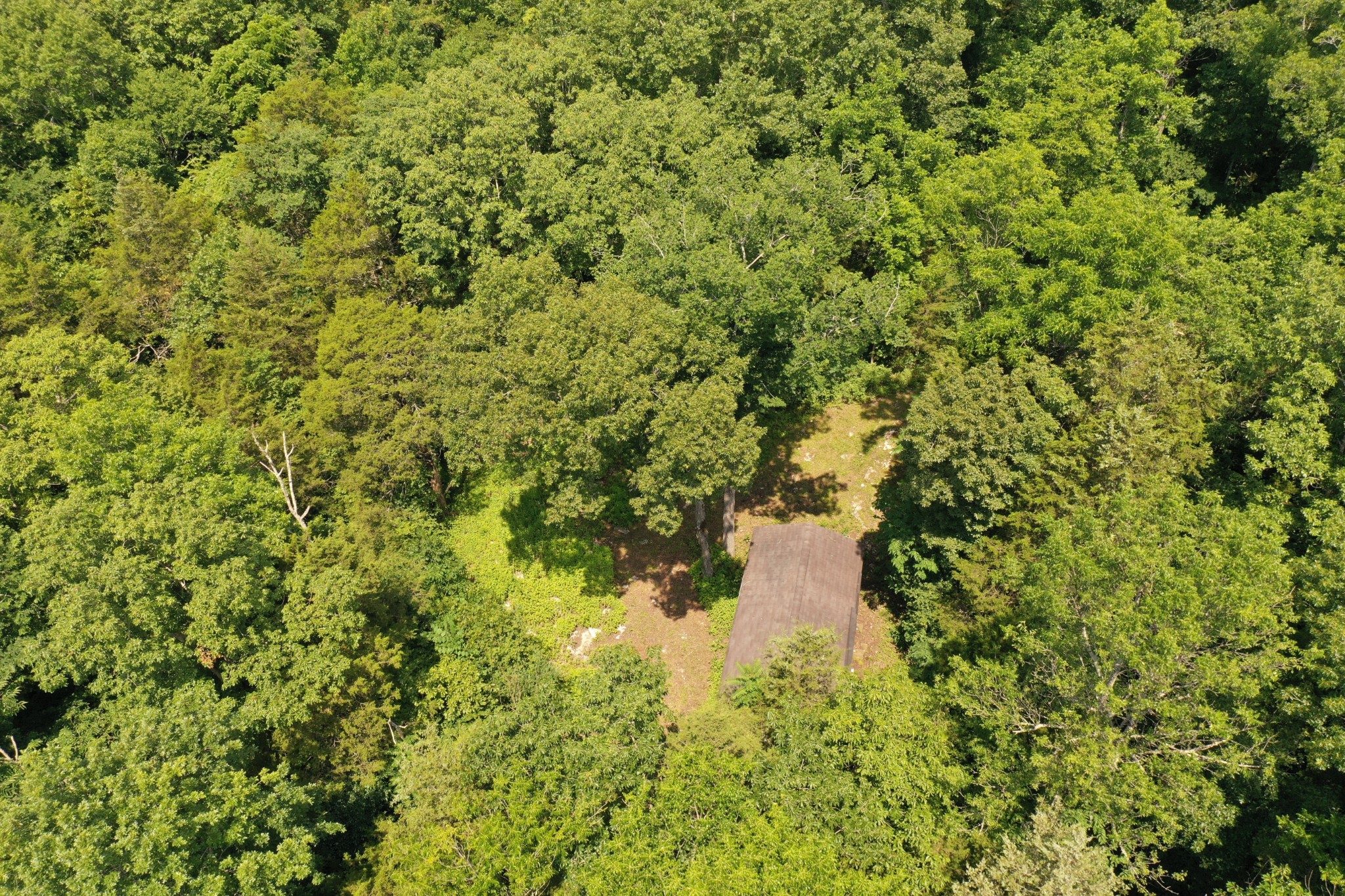 0 Tom Littlejohn Road Columbia, TN 38401 - Photo 14 of 20
