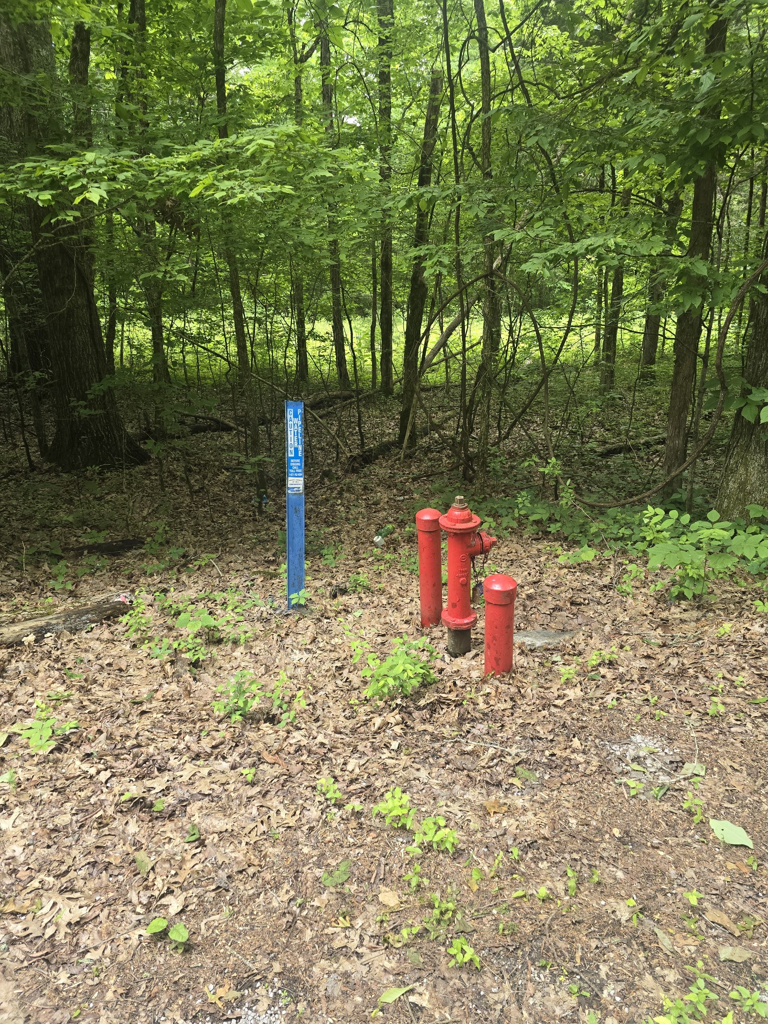 0 Tom Littlejohn Road Columbia, TN 38401 - Photo 19 of 20