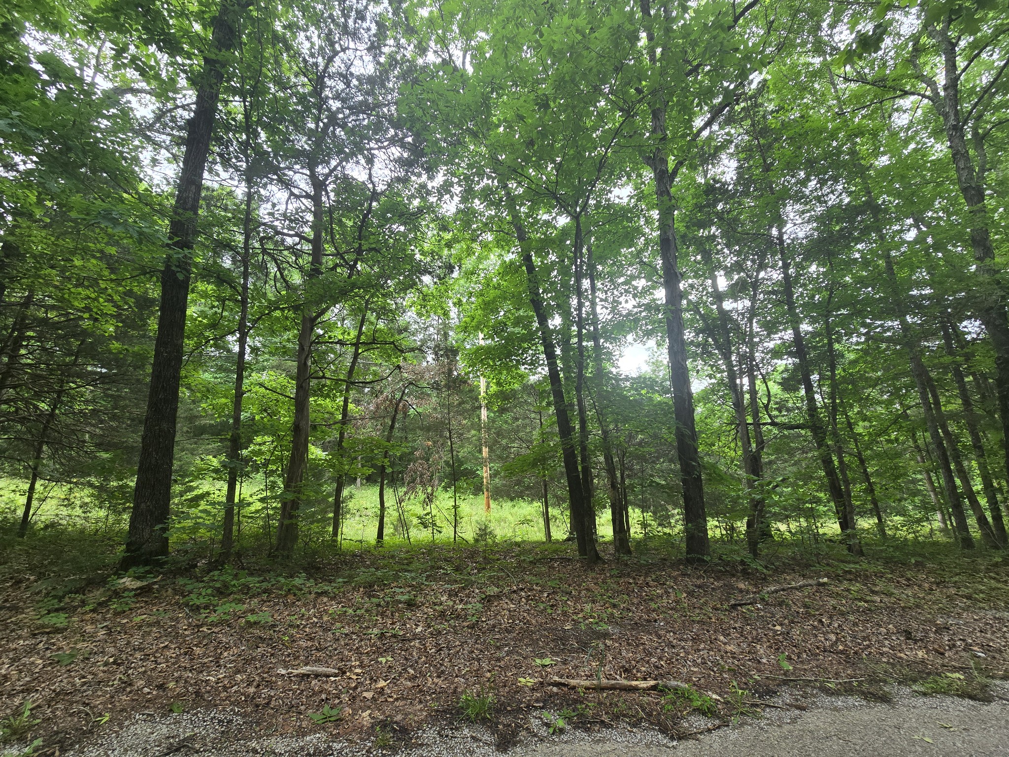 0 Tom Littlejohn Road Columbia, TN 38401 - Photo 2 of 20