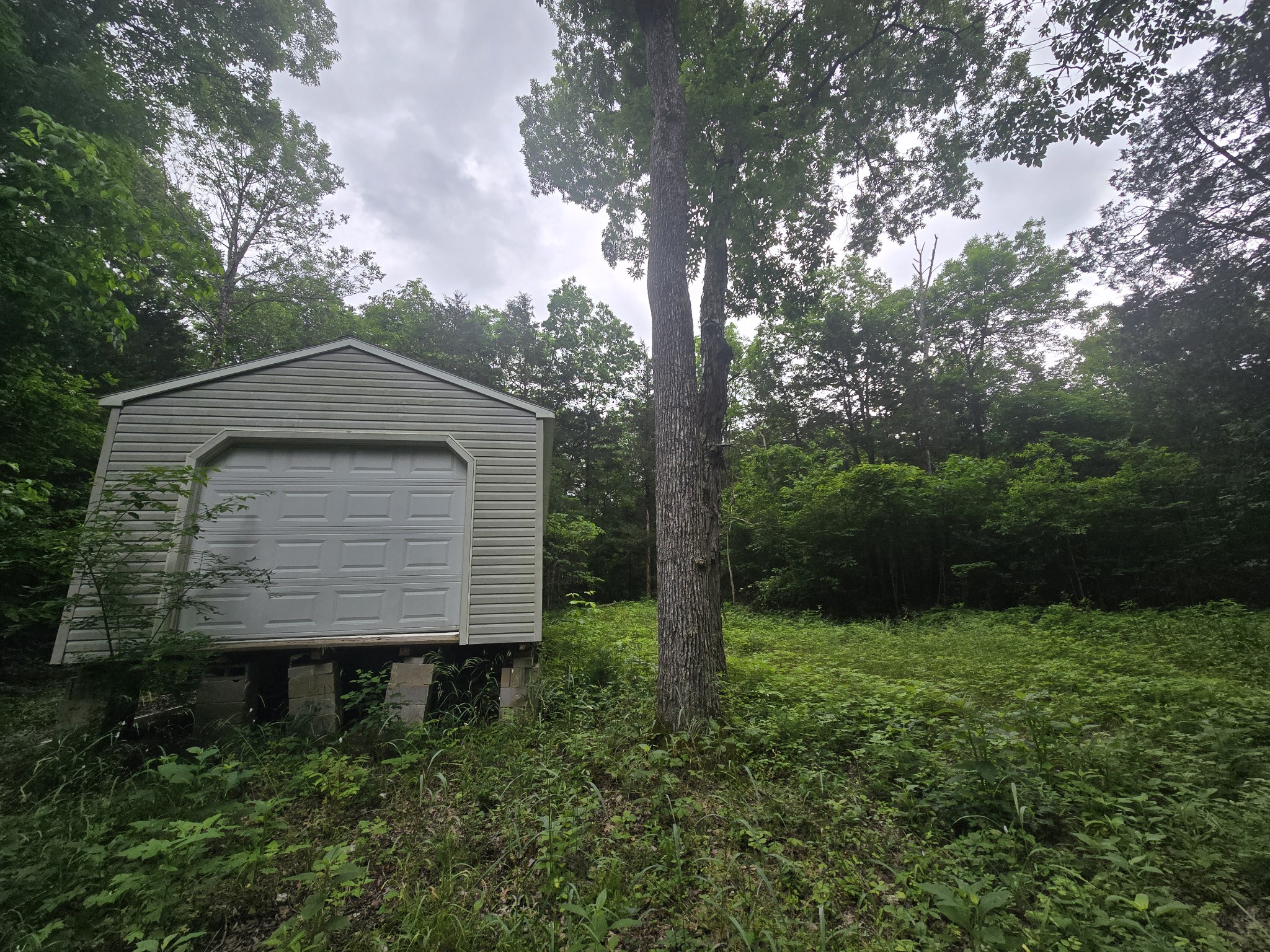 0 Tom Littlejohn Road Columbia, TN 38401 - Photo 3 of 20