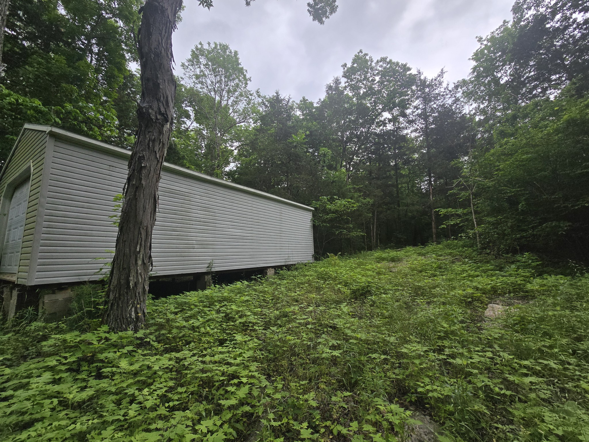 0 Tom Littlejohn Road Columbia, TN 38401 - Photo 4 of 20