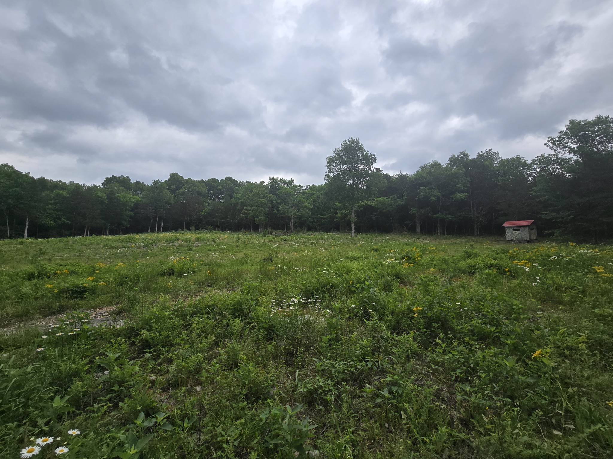 0 Tom Littlejohn Road Columbia, TN 38401 - Photo 6 of 20