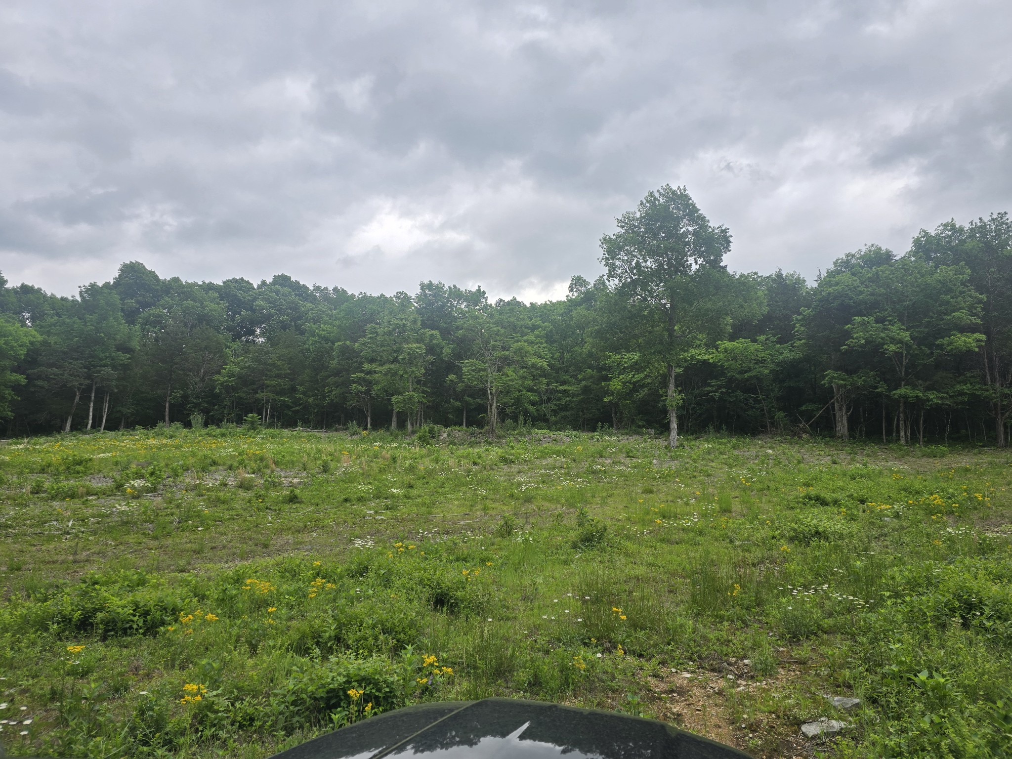 0 Tom Littlejohn Road Columbia, TN 38401 - Photo 8 of 20