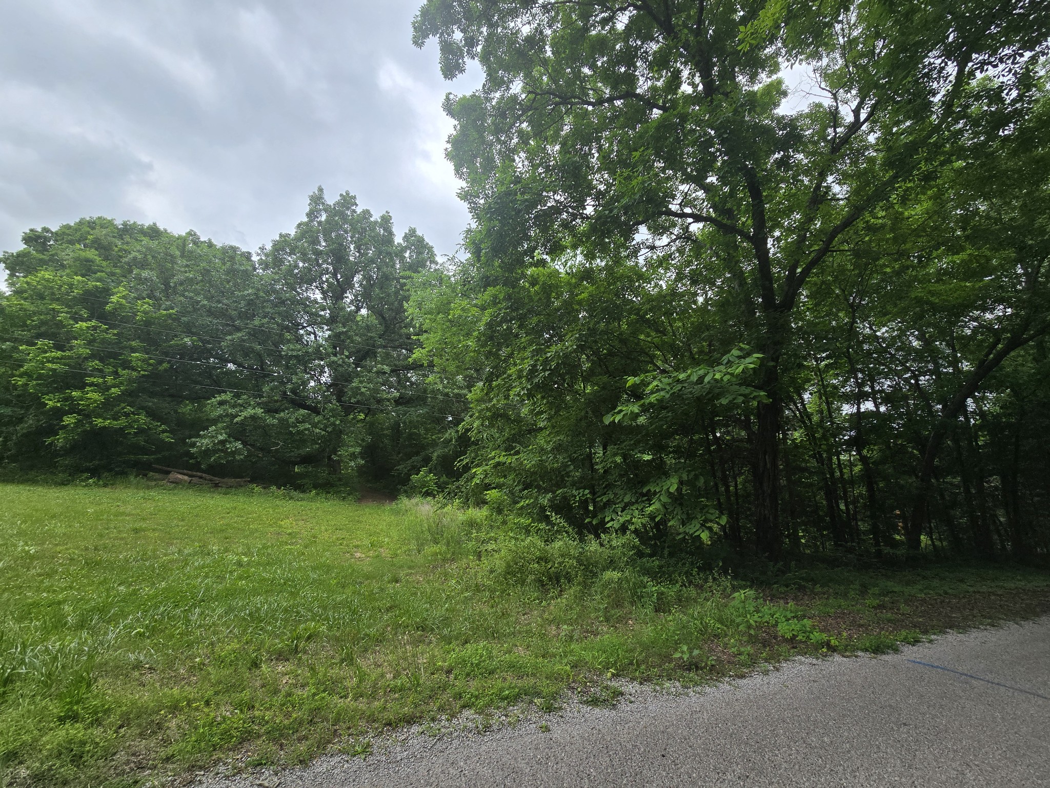 0 Tom Littlejohn Road Columbia, TN 38401 - Photo 9 of 20