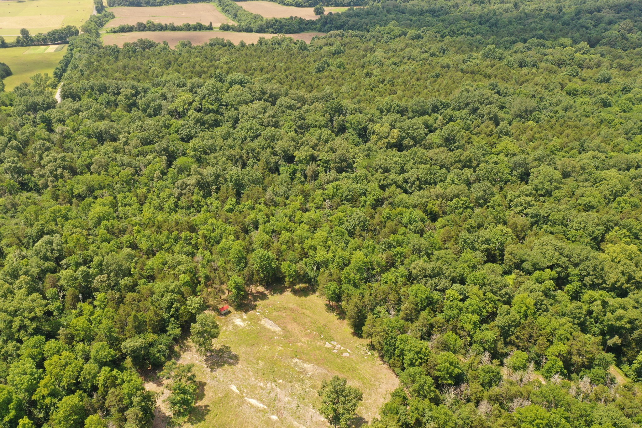 0 Tom Littlejohn Road Columbia, TN 38401 - Photo 10 of 20