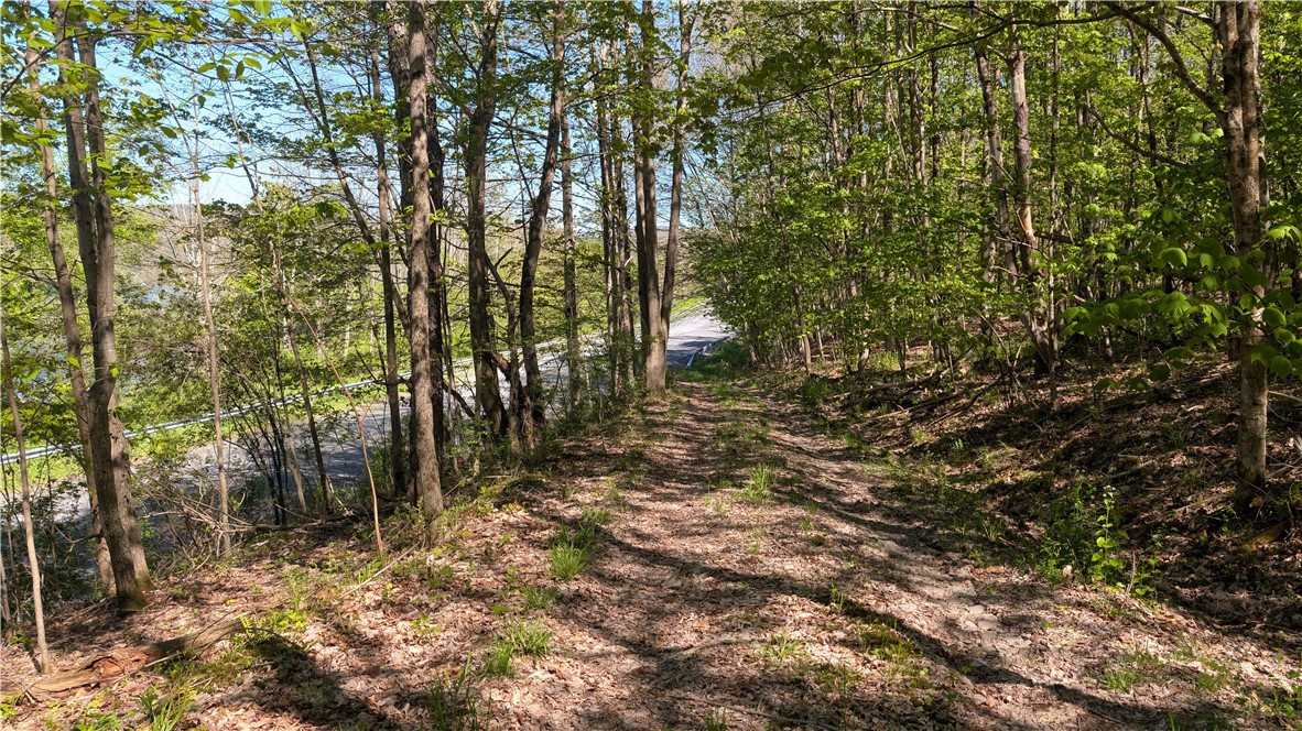 Lot 5 East River Road Andes, NY 13731 - Photo 16 of 39