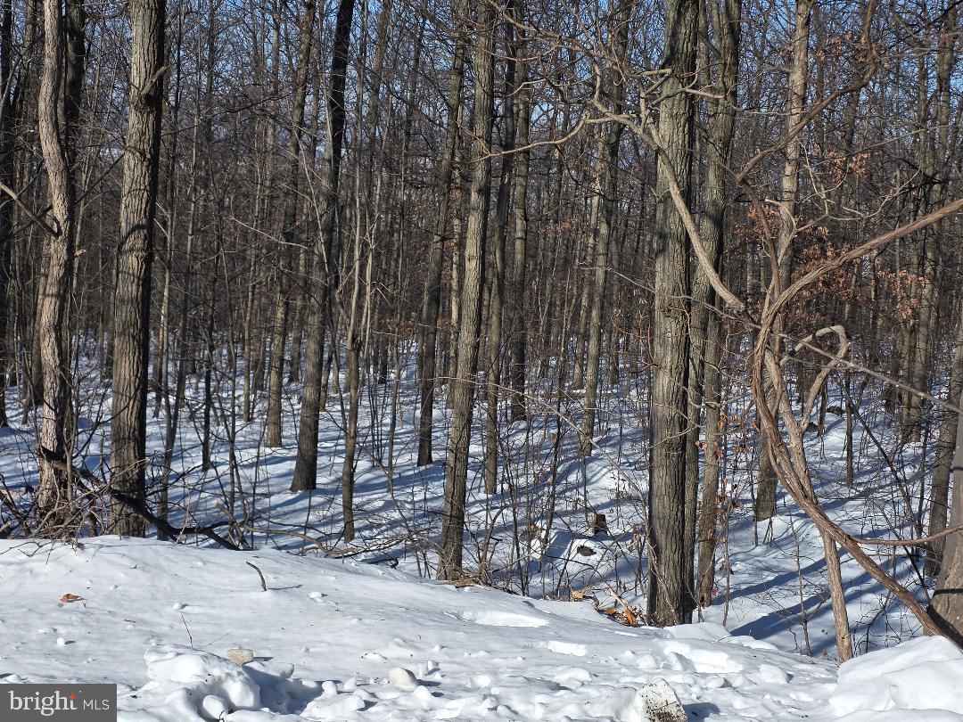 Morman Church Road Waynesboro, PA 17268 - Photo 2 of 3 See Timber Apprasial