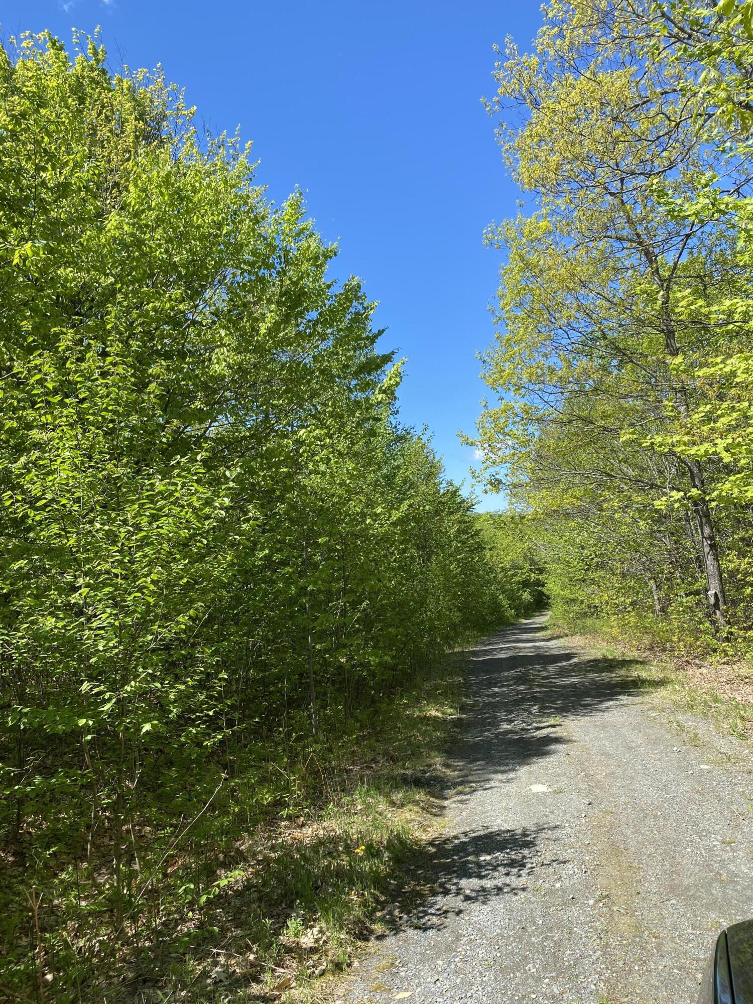 449 Mayfield Road Harmony, ME 04942 - Photo 57 of 58 IMG_6547