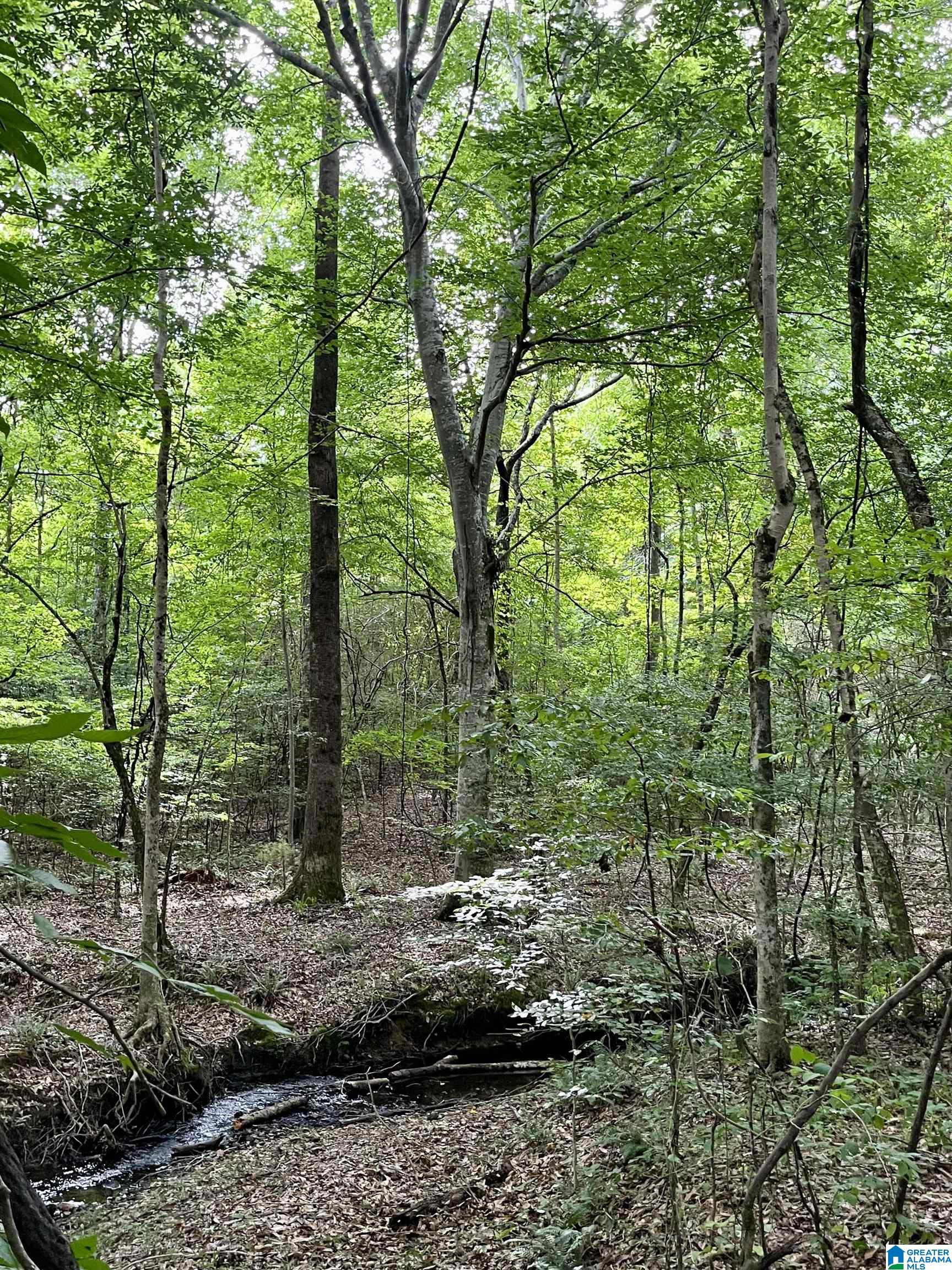 2917 Doublehead Road, Unit 170 ACRES Roanoke, AL 36274 - Photo 14 of 18