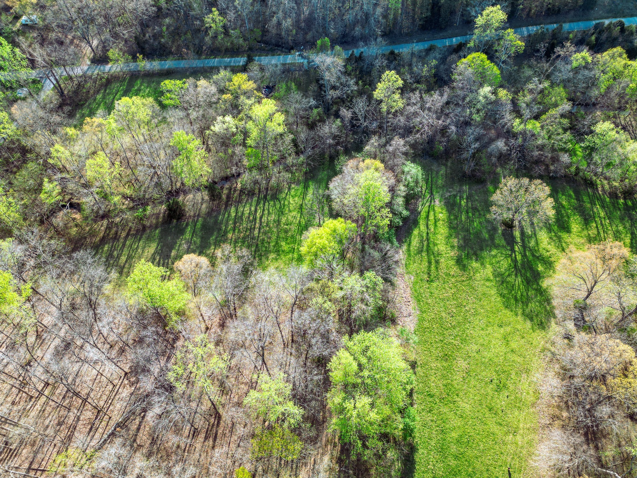 0 Rye Loop Road Erin, TN 37061 - Photo 4 of 9 Gallery Image 4