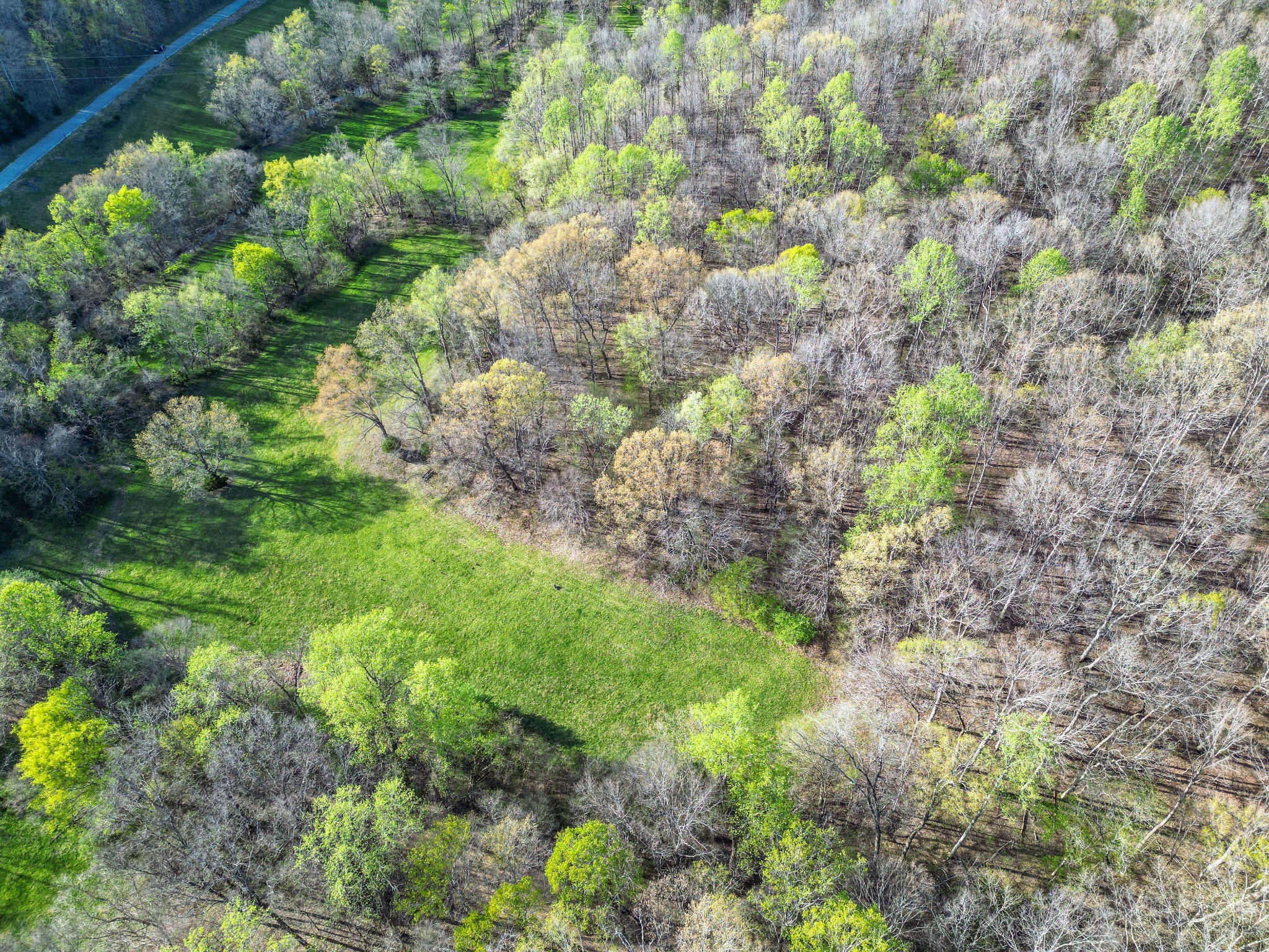 0 Rye Loop Road Erin, TN 37061 - Photo 5 of 9 Gallery Image 5