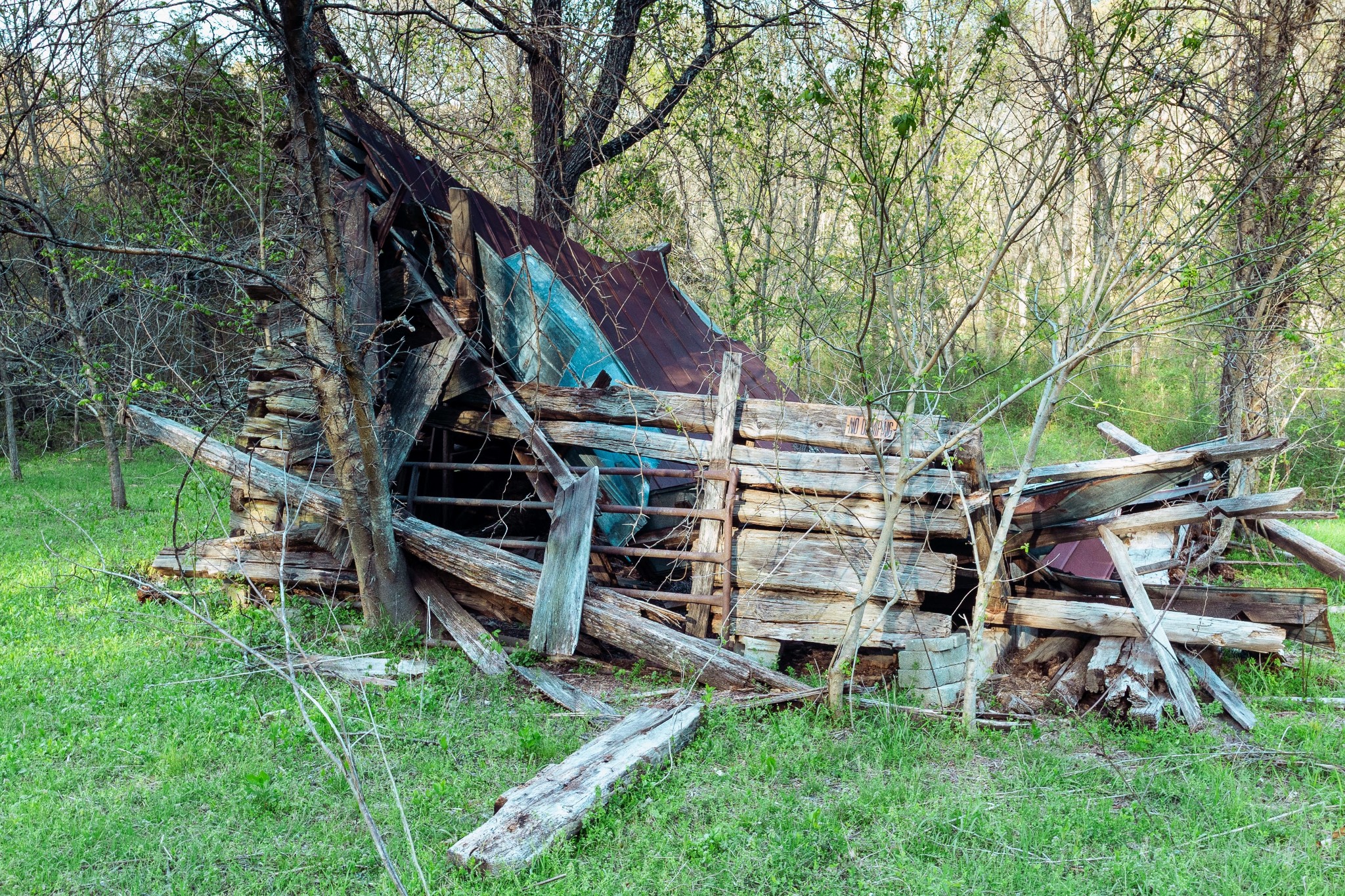 0 Rye Loop Road Erin, TN 37061 - Photo 6 of 9 Gallery Image 6