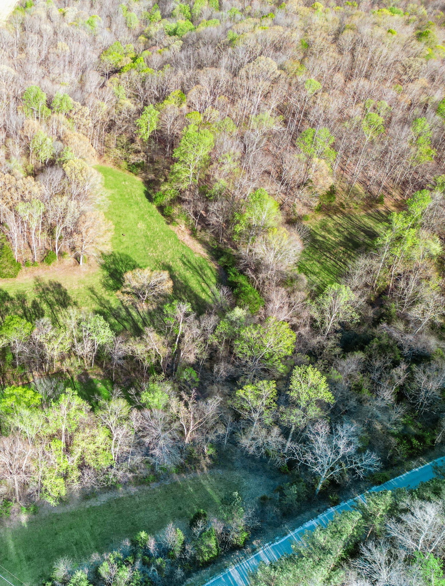 0 Rye Loop Road Erin, TN 37061 - Photo 9 of 9 Gallery Image 9
