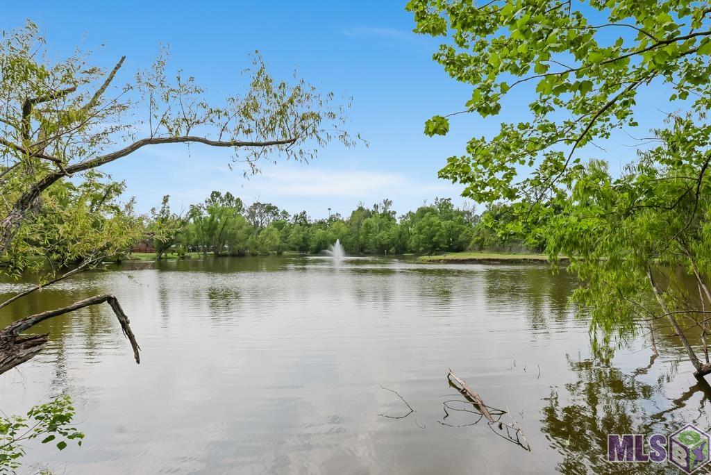 175 Grace's Drive St. Gabriel, LA 70776 - Photo 20 of 21