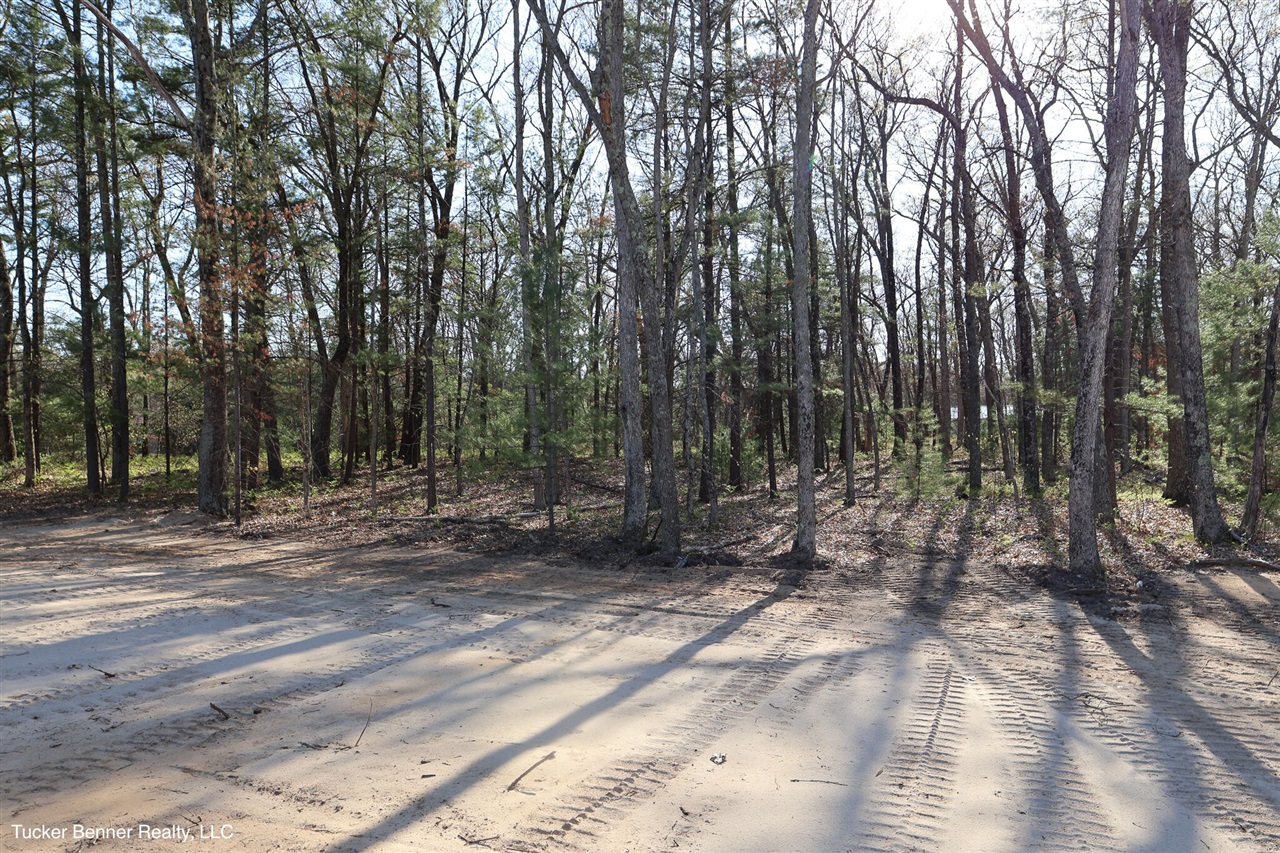 6771 Staple Road Twin Lake, MI 49457 - Photo 54 of 63
