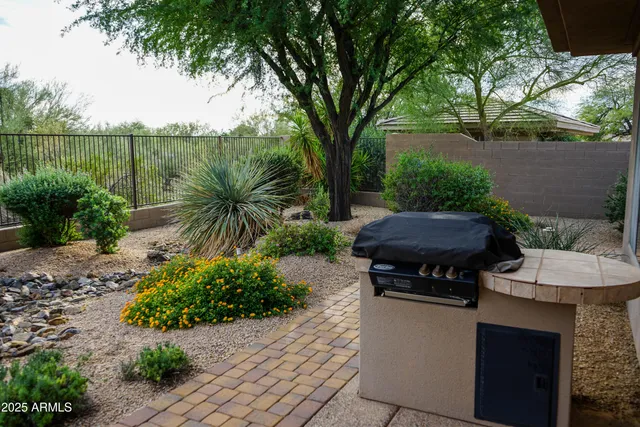 a view of a backyard with plants and a patio