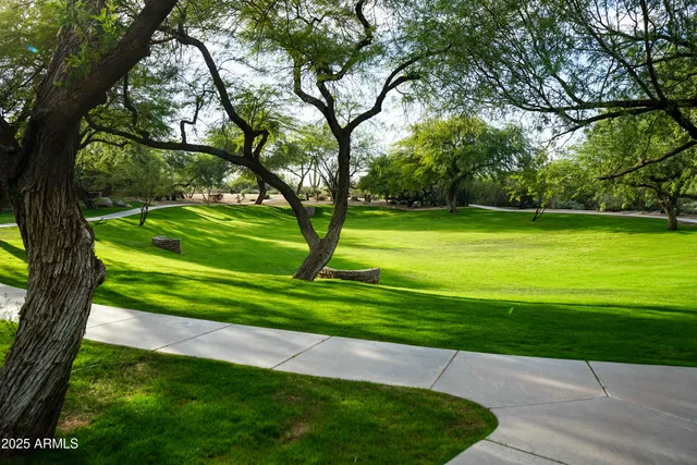 a view of a trees and a yard