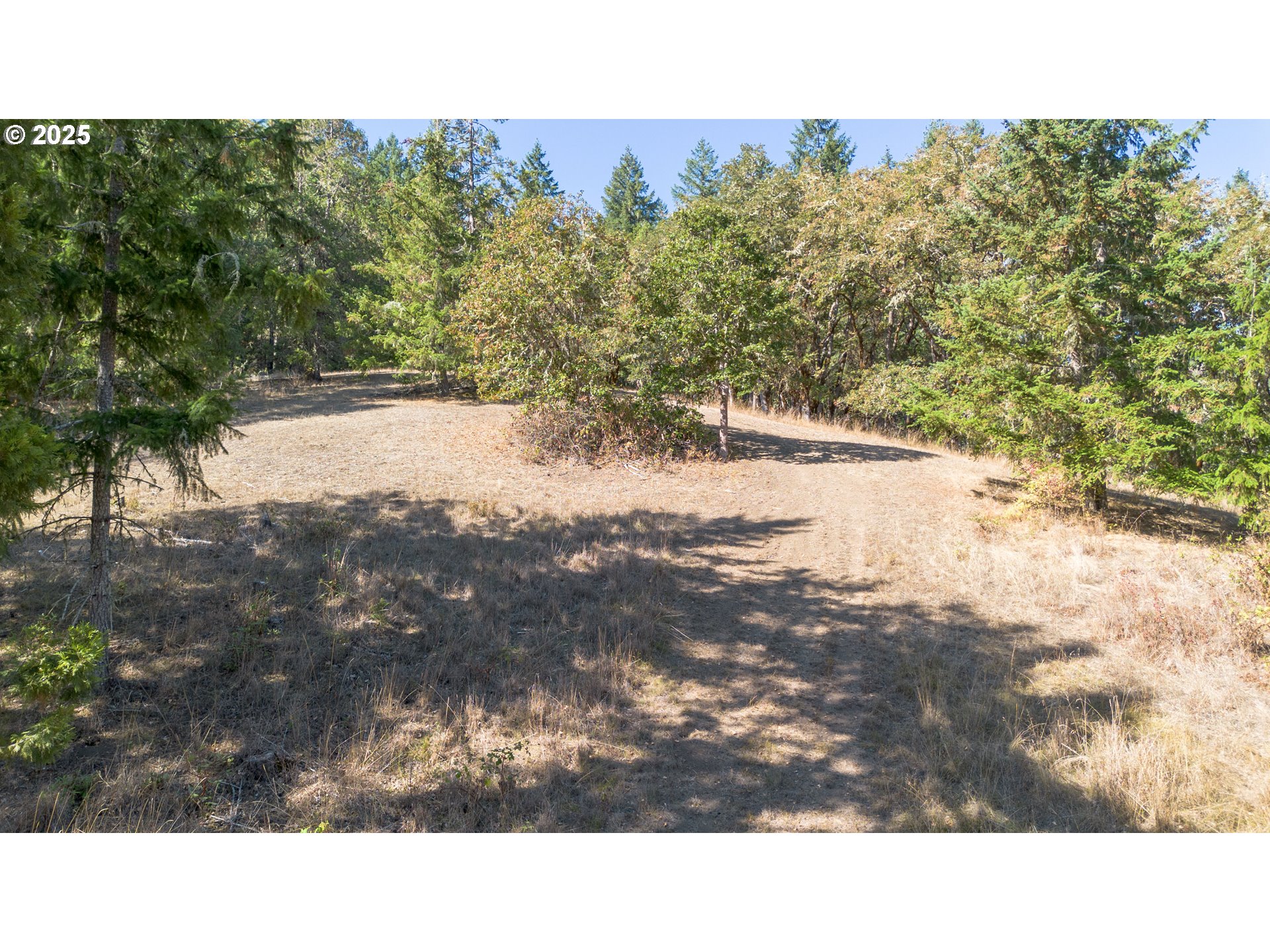 617 Poison Oak Drive Winston, OR 97496 - Photo 12 of 39