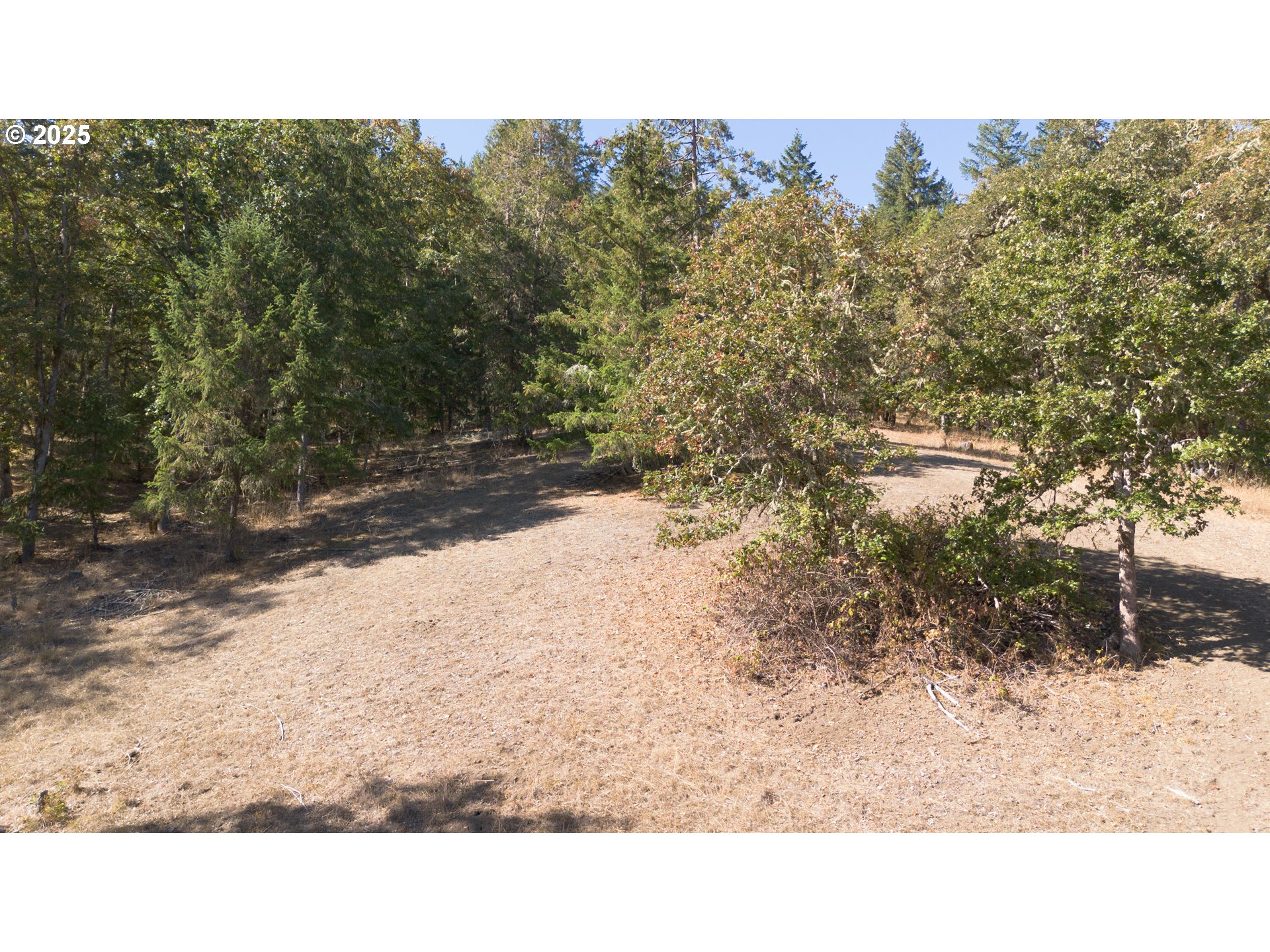 617 Poison Oak Drive Winston, OR 97496 - Photo 13 of 39