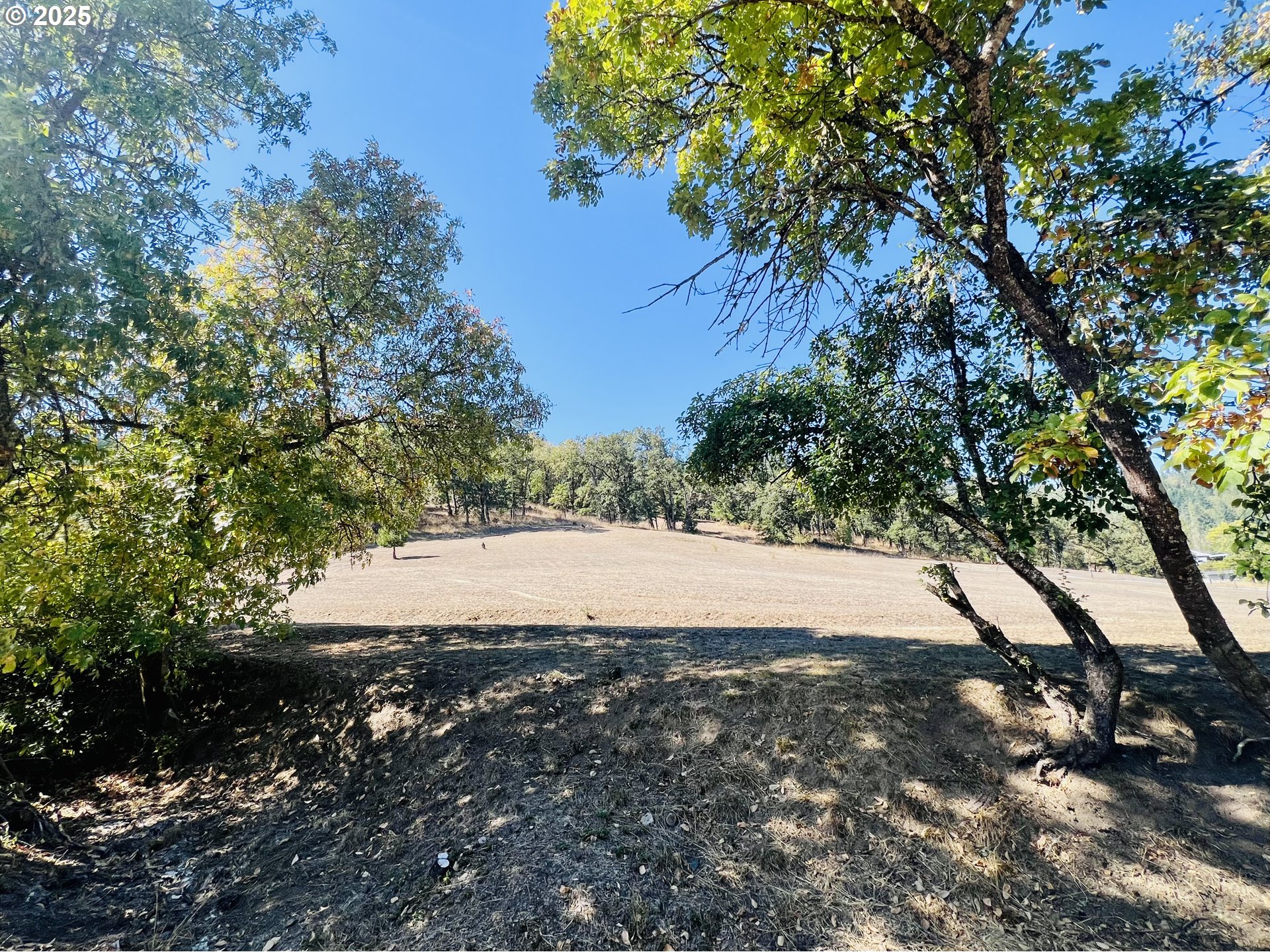 617 Poison Oak Drive Winston, OR 97496 - Photo 25 of 39