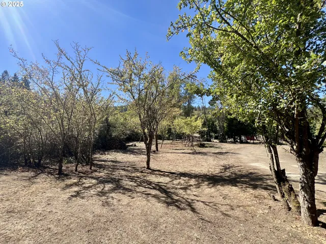 a view of a yard with trees