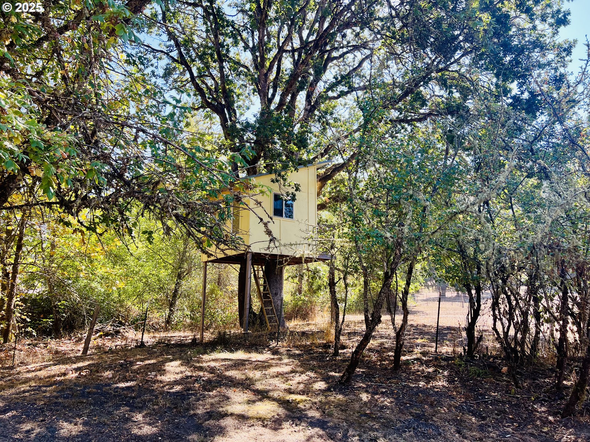617 Poison Oak Drive Winston, OR 97496 - Photo 34 of 39