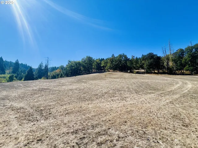 a view of a field with trees in the background