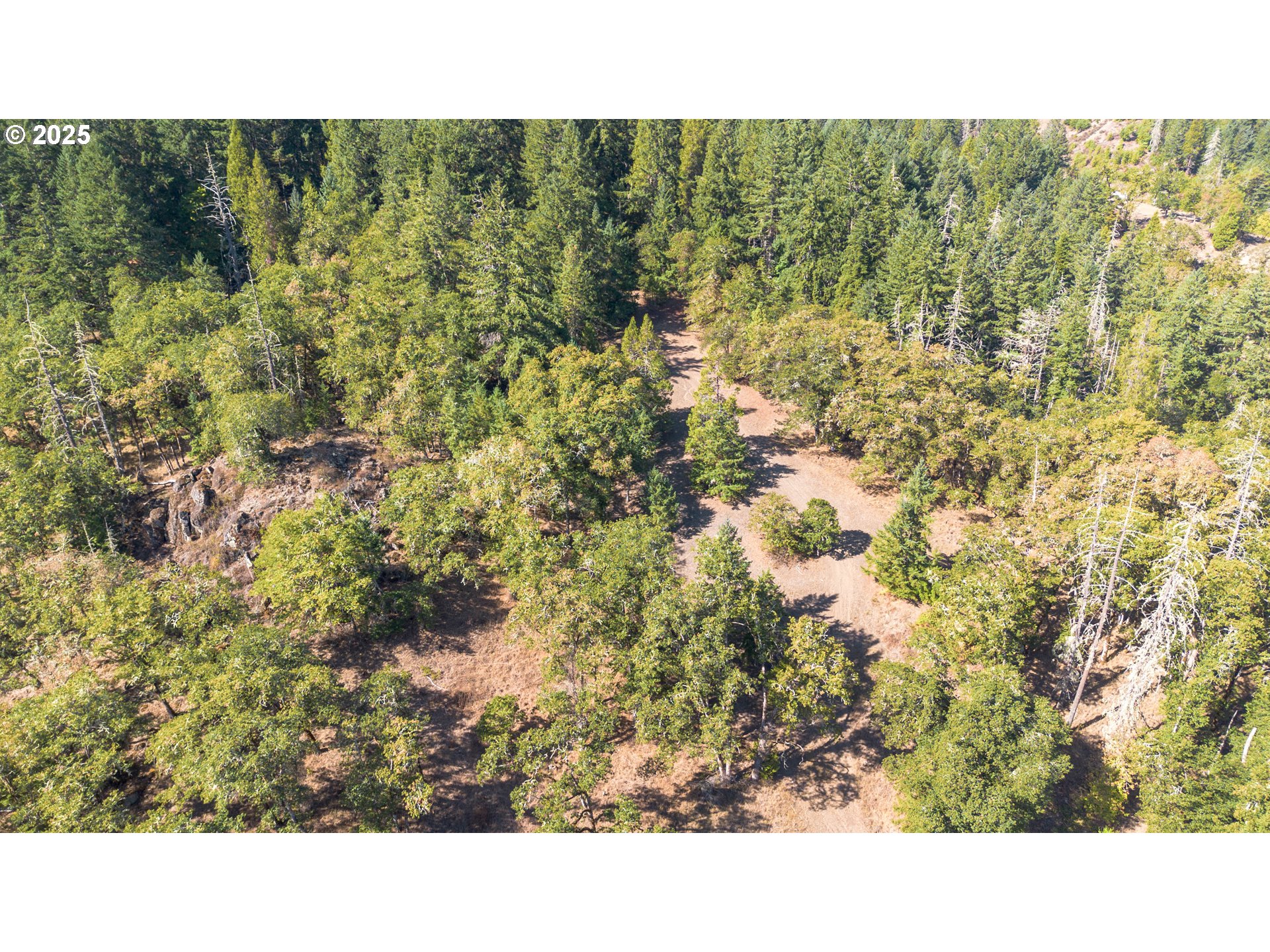 617 Poison Oak Drive Winston, OR 97496 - Photo 9 of 39
