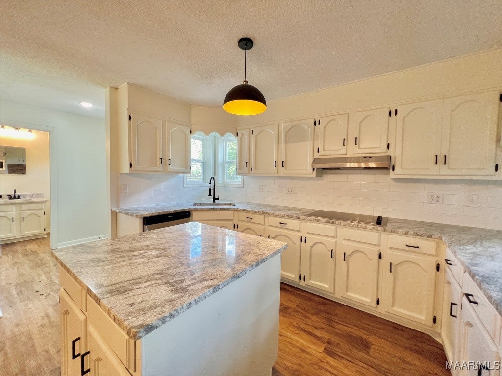 1091 Old Geneva Road Samson, AL 36477 - Photo 11 of 36 Gallery Image 11