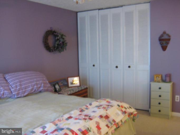 48 Boxthorn Road Abingdon, MD 21009 - Photo 12 of 27 Master Bedroom #2