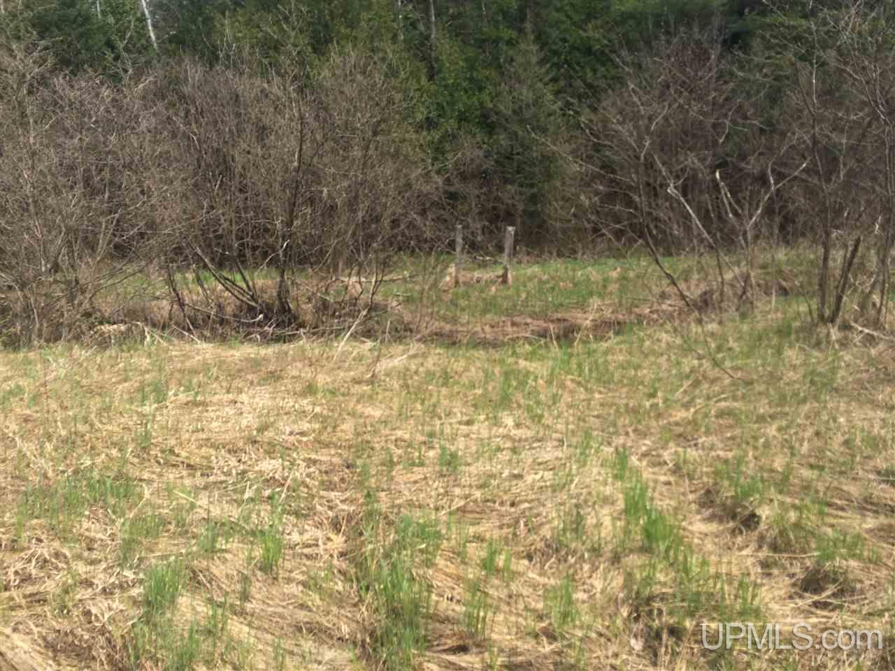 30.5 Rd Rapid River Gladstone, MI 49837 - Photo 5 of 11