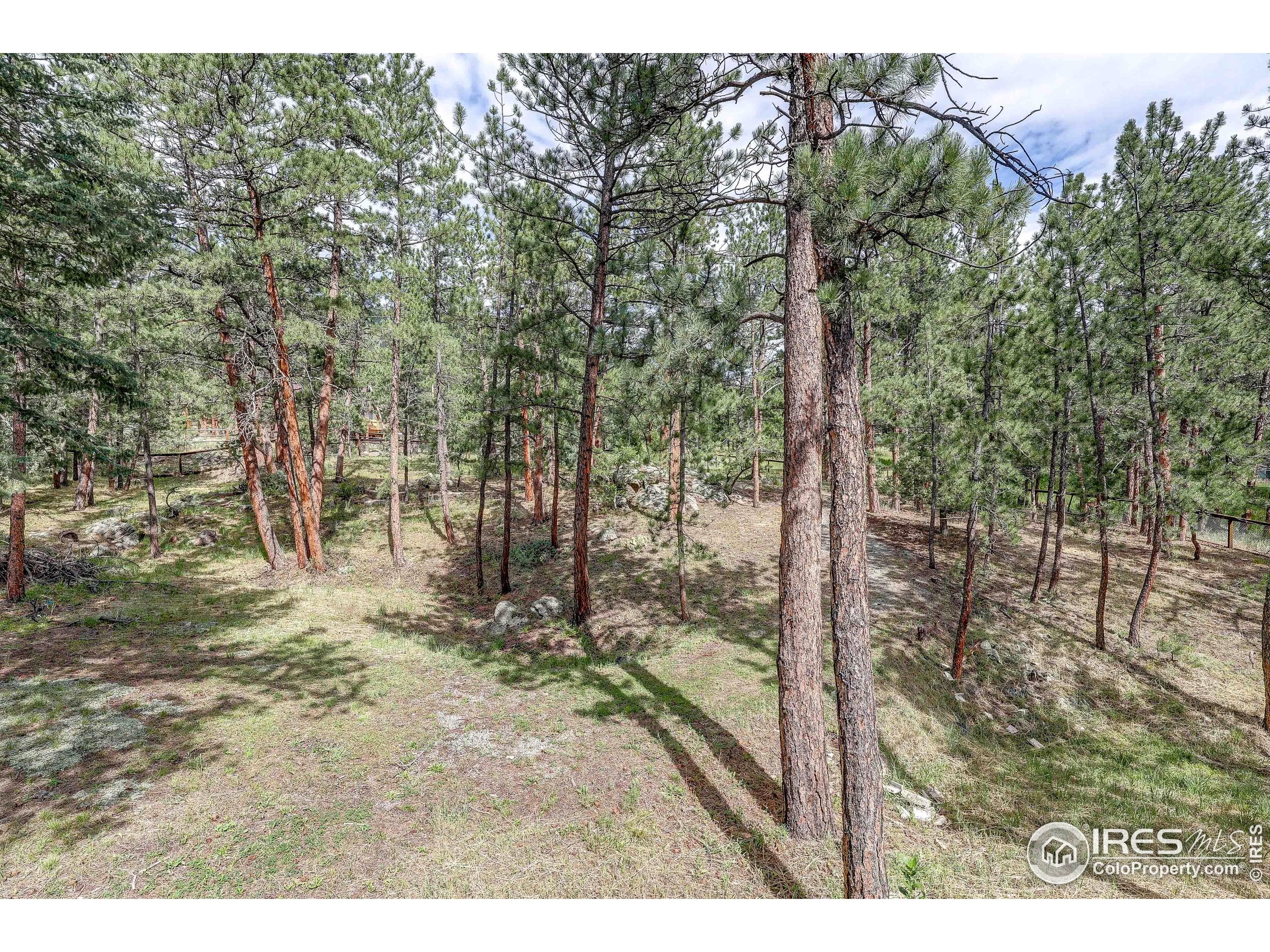 166 Cherokee Road Lyons, CO 80540 - Photo 25 of 38 a view of outdoor space and yard