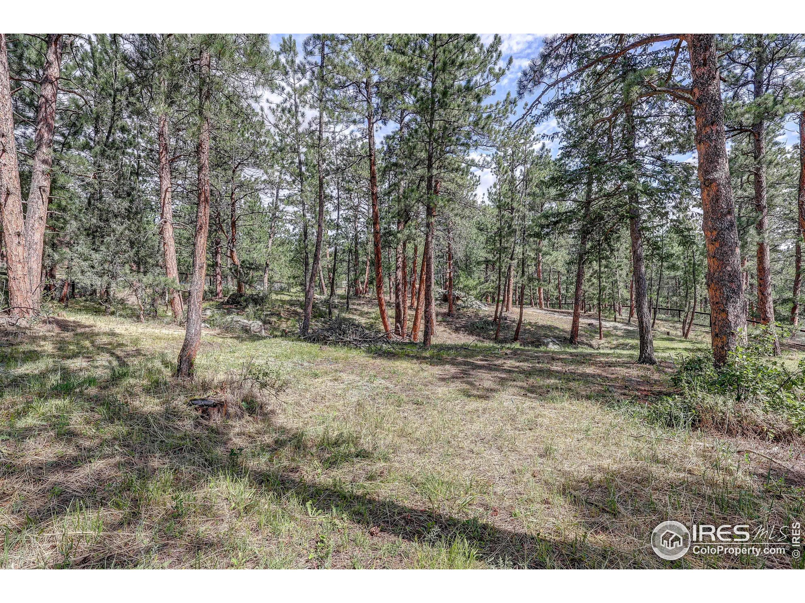 166 Cherokee Road Lyons, CO 80540 - Photo 35 of 38 a view of outdoor space with trees
