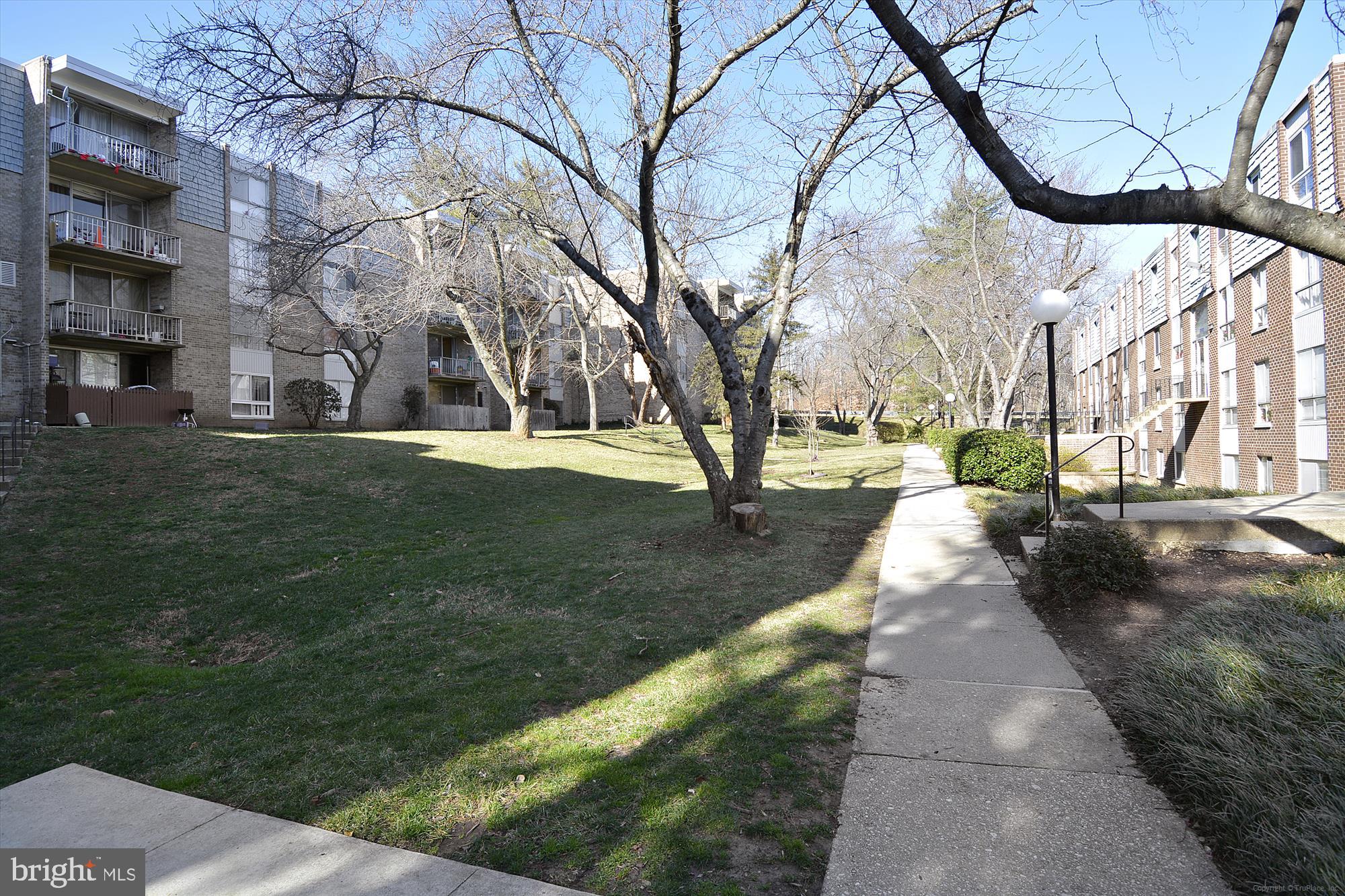 3946 Bel Pre Road, Unit 4 Silver Spring, MD 20906 - Photo 28 of 30 a street view with large trees