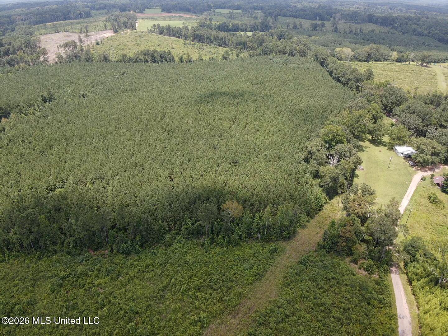 131 B County Road Morton, MS 39117 - Photo 6 of 25 2026-07-05-13-42-27-997