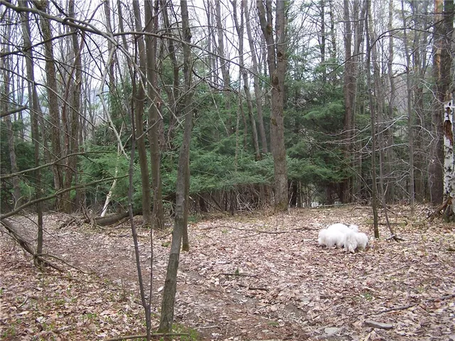 $27,000 | 3604 Grandview Street, Binghamton, NY 13903