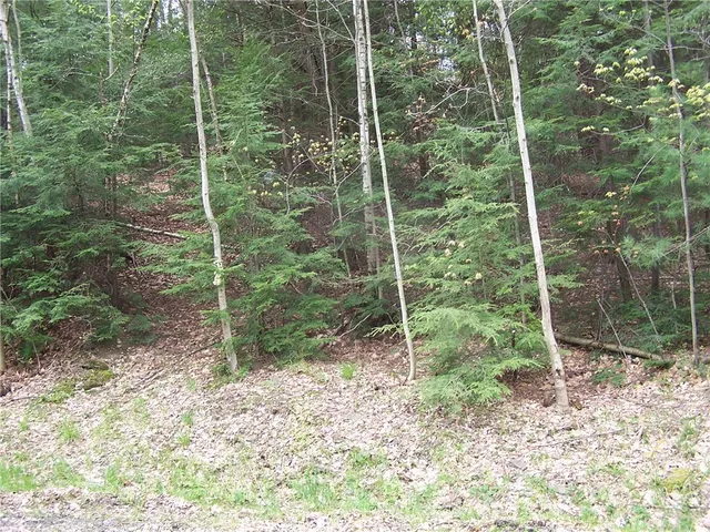 $27,000 | 3604 Grandview Street, Binghamton, NY 13903