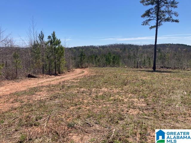 250 Gortney Road, Unit 110 AC Ashland, AL 36251 - Photo 8 of 8 Gallery Image 8