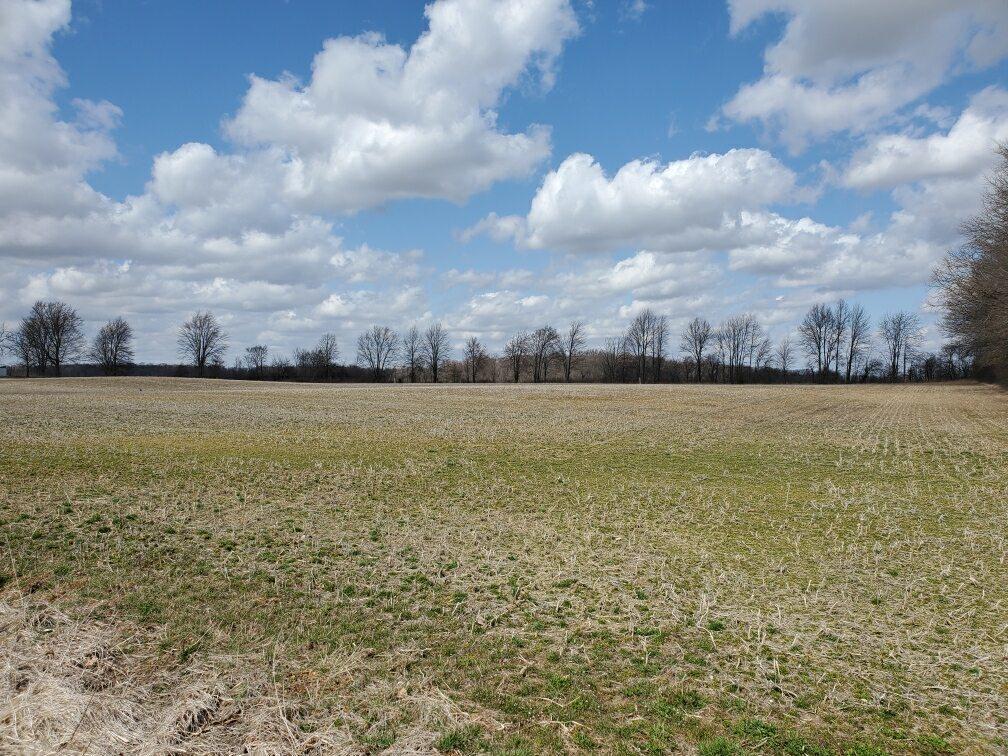 0 County 124 Road, Unit TRACT 3 Cardington, OH 43315 - Photo 7 of 10 6065364F-BA33-457F-88F6-1ACAC9ADA7C3