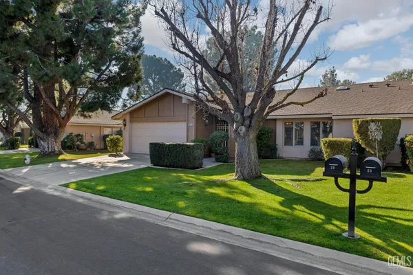 a view of a yard with plants and trees