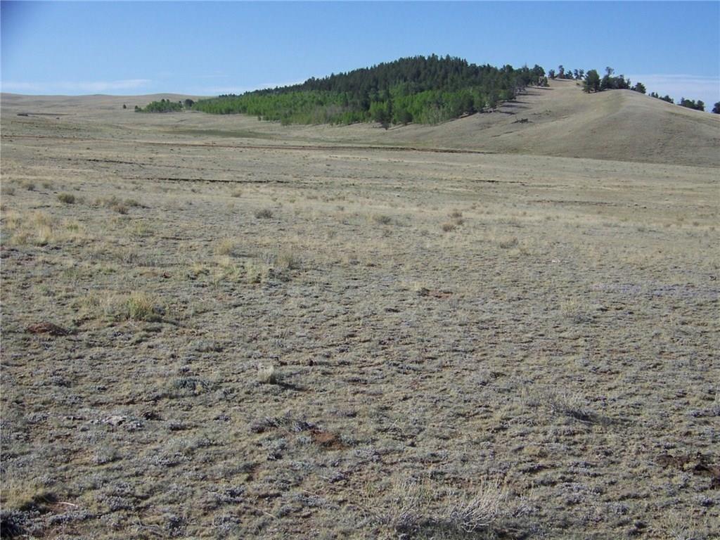 186 Link Road Como, CO 80432 - Photo 6 of 8 a view of ocean view with beach