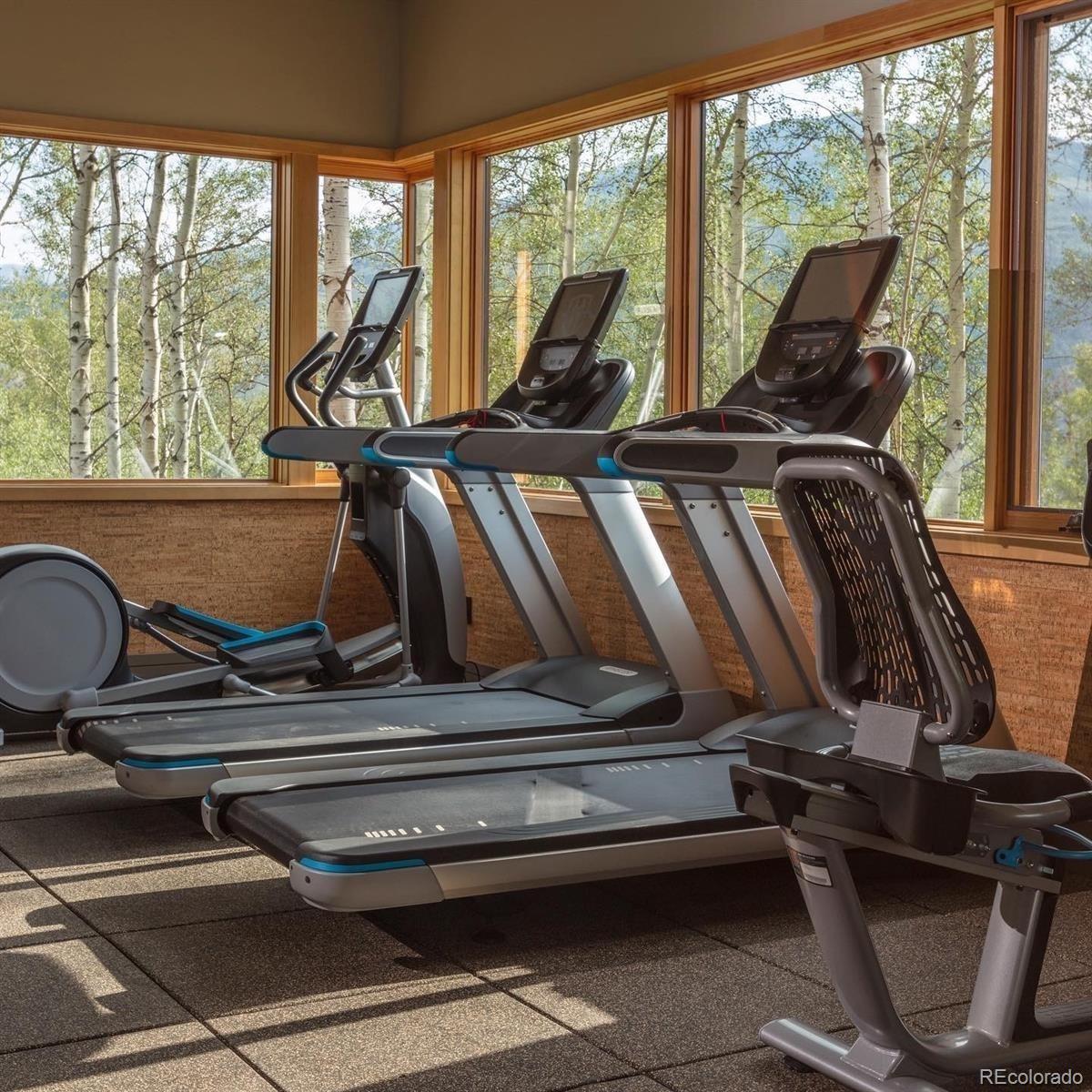 107 Beasley Road Silverthorne, CO 80498 - Photo 37 of 38