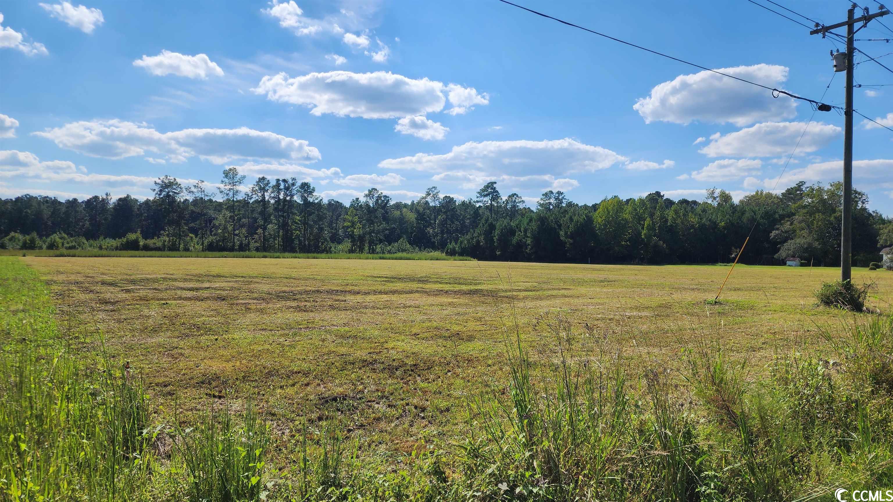 Lot 2 Hemingway Highway Hemingway, SC 29554 - Photo 1 of 3 Gallery Image 1