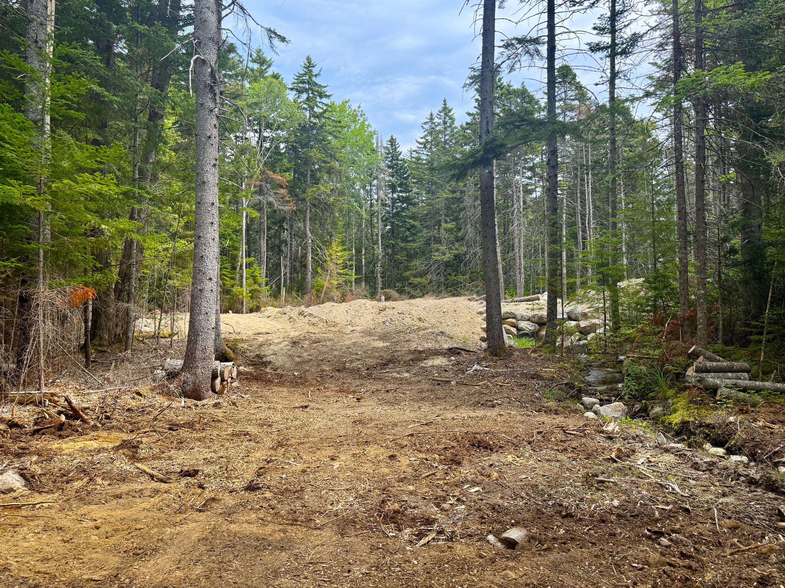 93 Goods Point Road, Unit LOT #2 Steuben, ME 04680 - Photo 8 of 21 IMG_5695