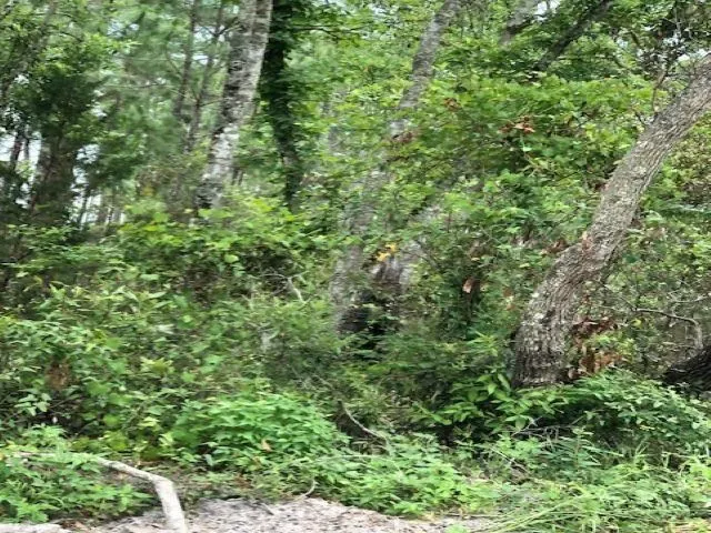 $30,000 | Lot 8 Surf Road, Ochlockonee Bay, FL 32346