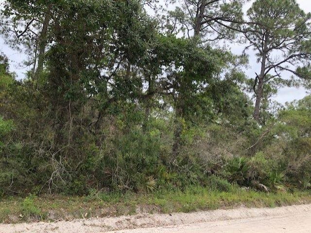 Lot 8 Surf Road Ochlockonee Bay, FL 32346 - Photo 5 of 9