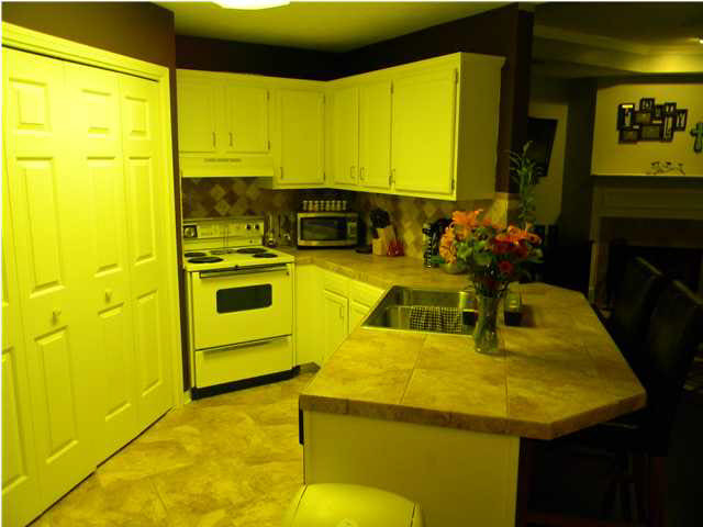 515 Harbor Ridge Drive Brandon, MS 39047 - Photo 3 of 10 Photo 3