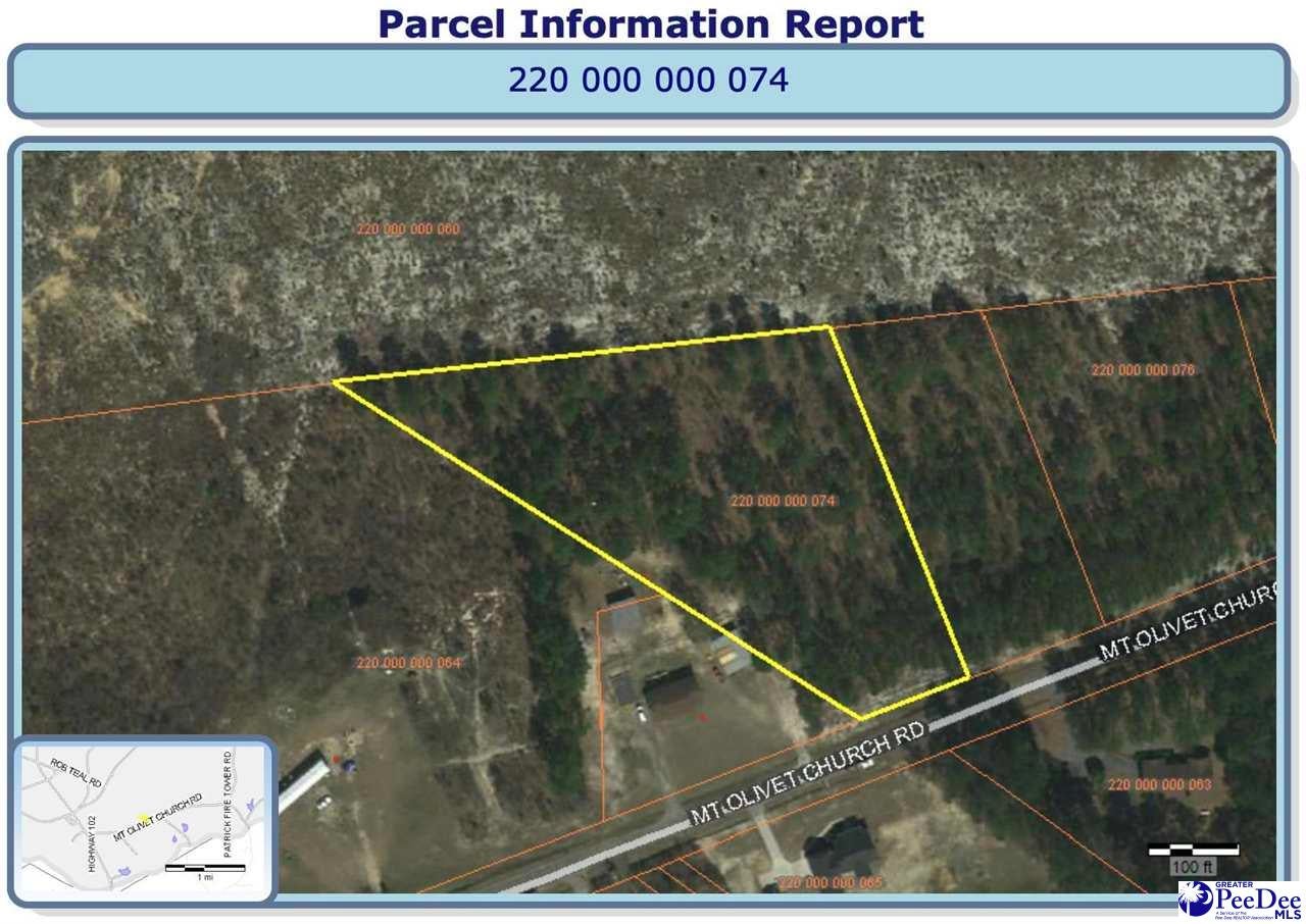 1 Mt Olivet Church Road Patrick, SC 29584 - Photo 1 of 1 Gallery Image 1