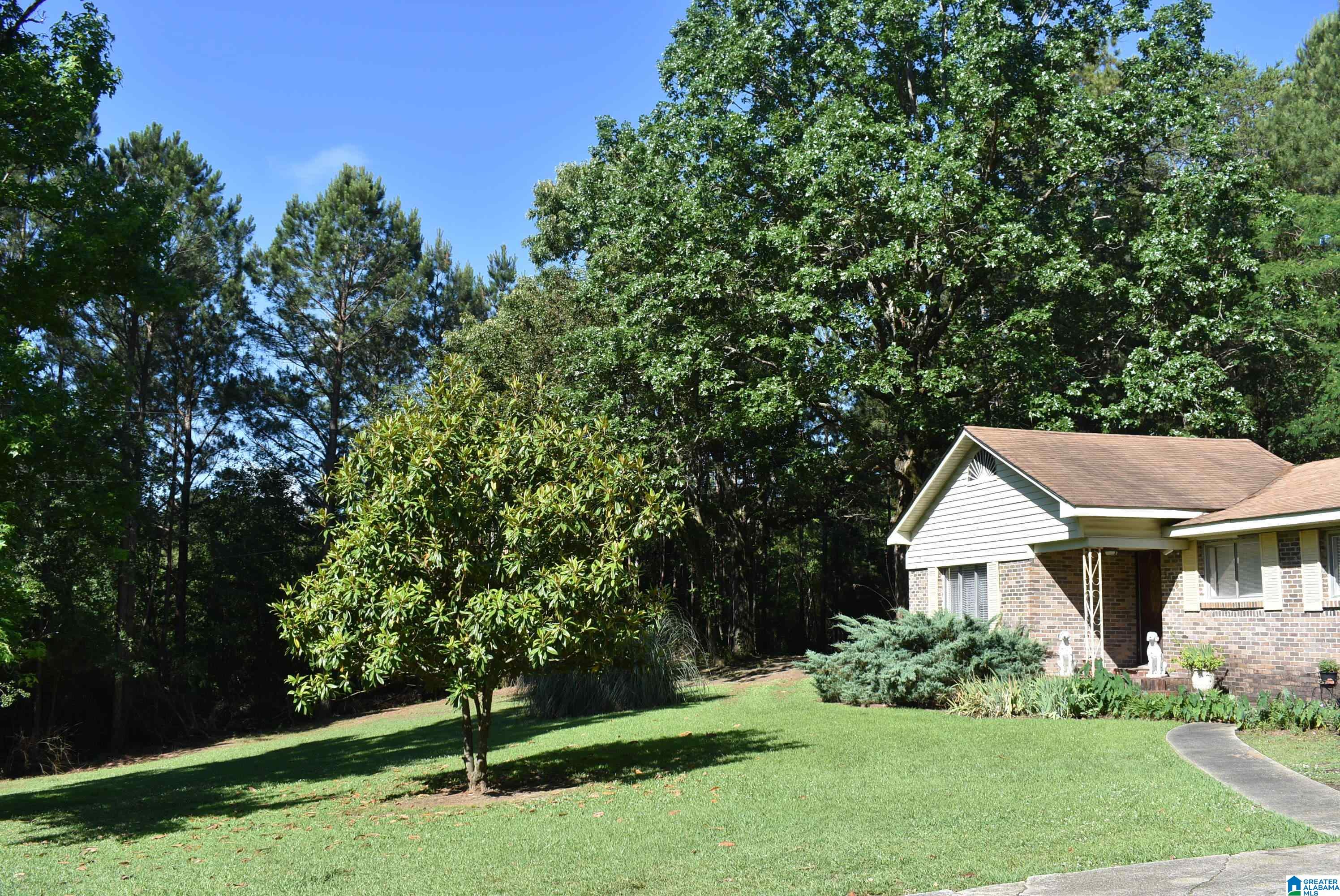 3098 Jackson Road Morris, AL 35116 - Photo 12 of 14
