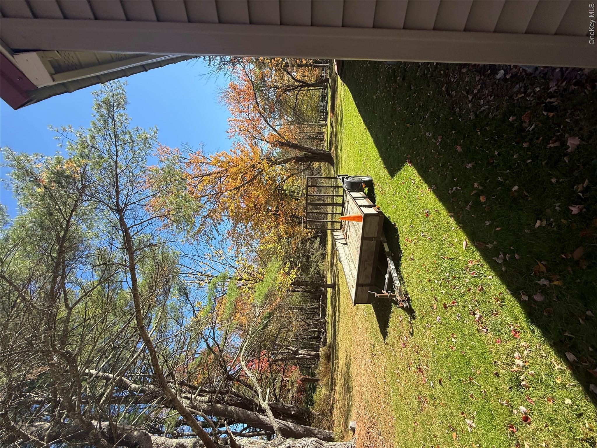 553 Cold Spring Road Monticello, NY 12701 - Photo 2 of 15 a view of a park with large trees